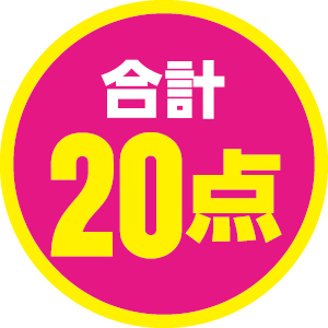 合計20点